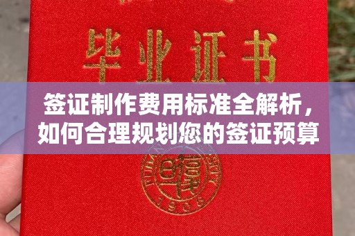 永和签证制作费用标准全解析，如何合理规划您的签证预算？